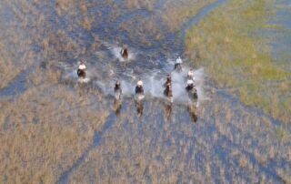 Rideferie Afrika