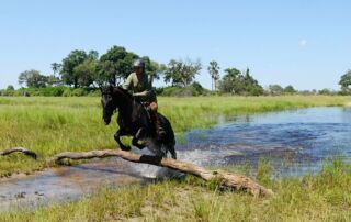 Rideferie Afrika