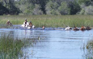 Rideferie Afrika