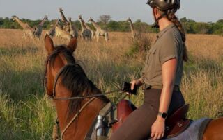 Rideferie Zambia